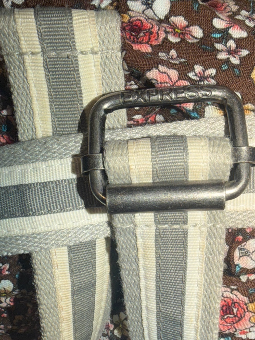 Express Gray & White Striped Canvas Belt